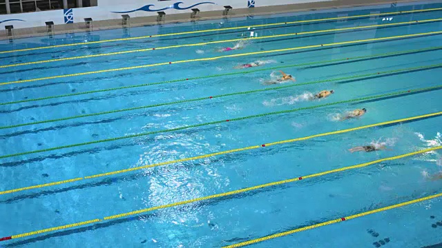 女子游泳运动员在蝶泳比赛中跳台视频素材