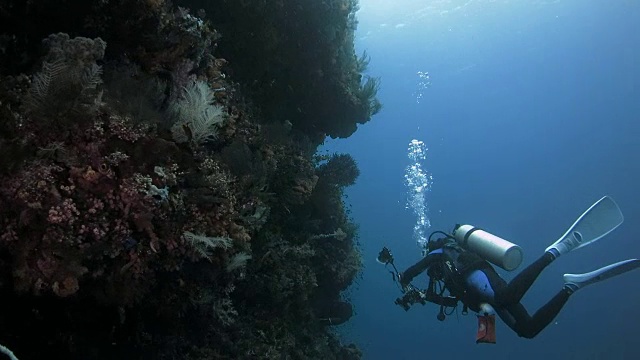 在印度尼西亚拉贾安帕的珊瑚礁里潜水视频素材