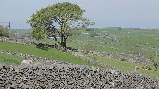 景观&羔羊靠近沃德洛，德比郡，英格兰，英国，欧洲视频素材