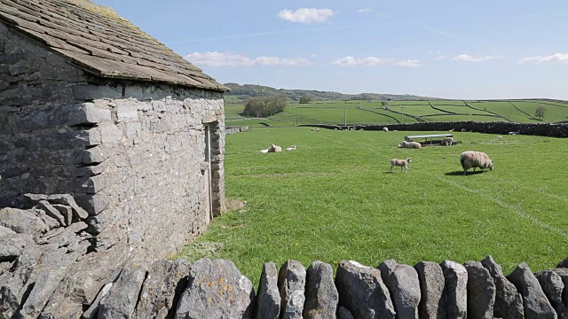 干燥的石墙附近，德比郡，英格兰，英国，欧洲视频素材