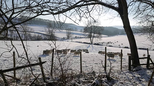 哈索普附近的雪景，皮克区国家公园，德比郡，英格兰，英国视频素材