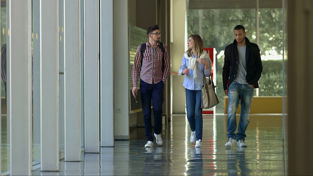 LS大学生在走廊里散步视频素材