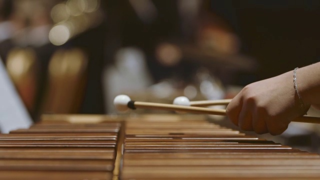 在管弦乐队中演奏木琴的音乐家视频素材