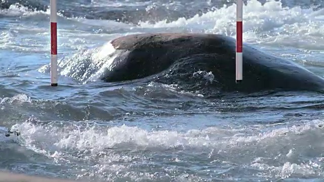 SLO MO皮划艇运动员通过在回转比赛中悬挂的大门视频下载