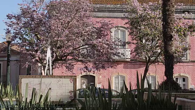 喷泉和春天盛开的老城，Silves，阿尔加维，葡萄牙，欧洲视频下载