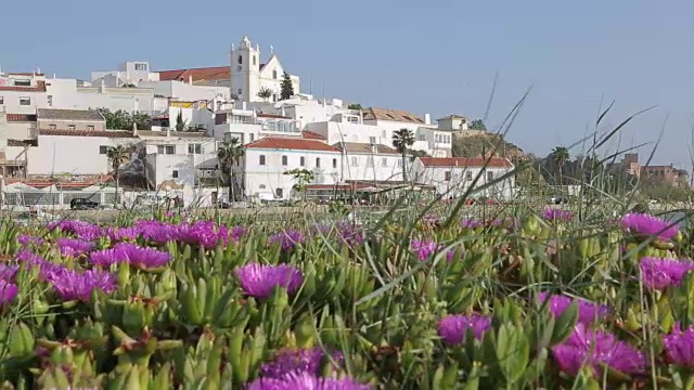 小镇和海滩上的春天鲜花，费拉古多，阿尔加维，葡萄牙，欧洲视频素材