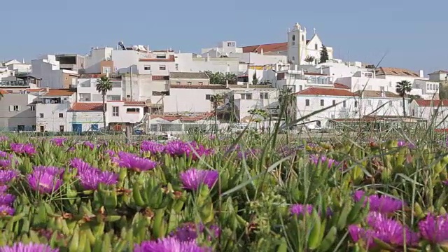 小镇和海滩上的春天鲜花，费拉古多，阿尔加维，葡萄牙，欧洲视频下载