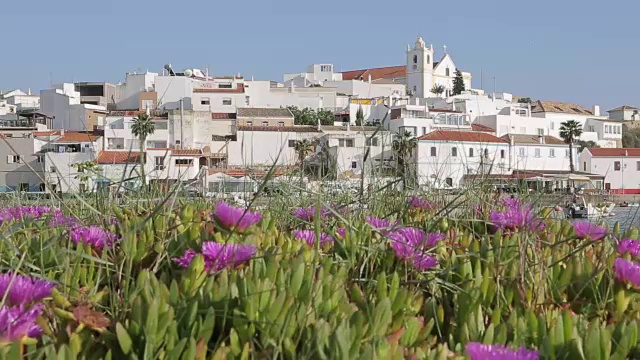 小镇和海滩上的春天鲜花，费拉古多，阿尔加维，葡萄牙，欧洲视频素材