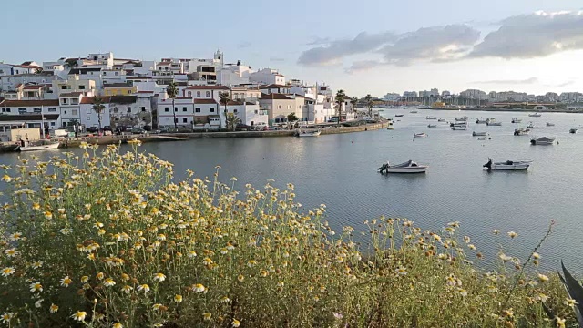 小镇和海滩上的春天鲜花，费拉古多，阿尔加维，葡萄牙，欧洲视频下载