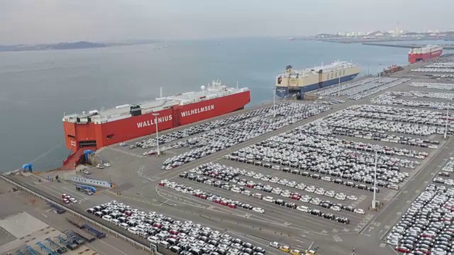 平泽港出口码头，一大群汽车排成一排视频素材