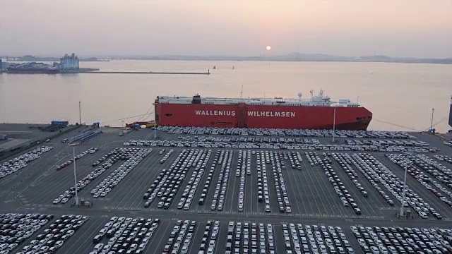 平泽港出口码头，一大群汽车排成一排视频素材