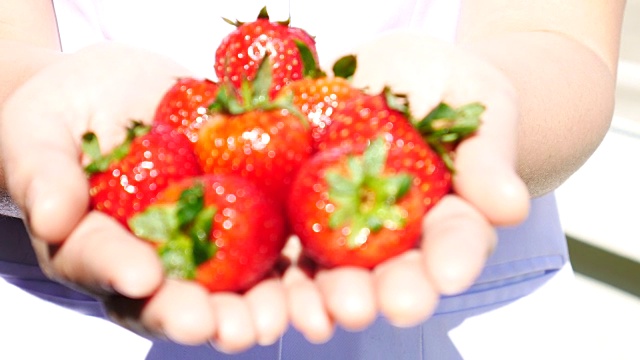 草莓在女人手上，4k(超高清)视频下载