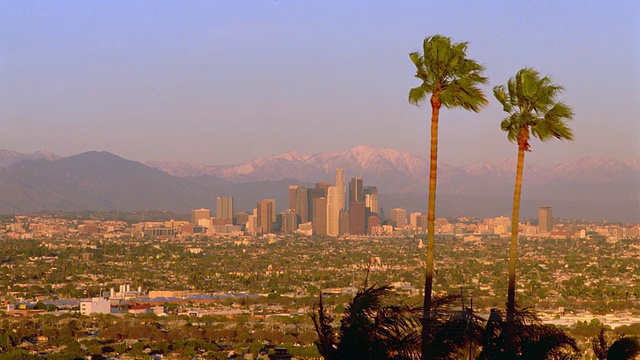 宽镜头长镜头洛杉矶天际线+山谷与棕榈树在前景/加利福尼亚视频素材
