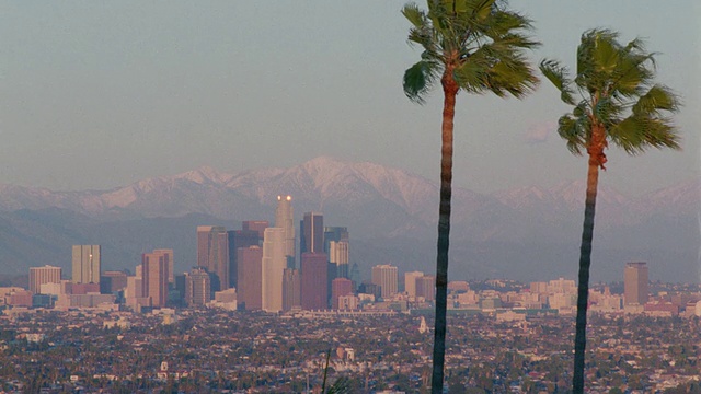 宽镜头长镜头洛杉矶天际线+山谷与棕榈树在前景+山在背景/加利福尼亚视频素材
