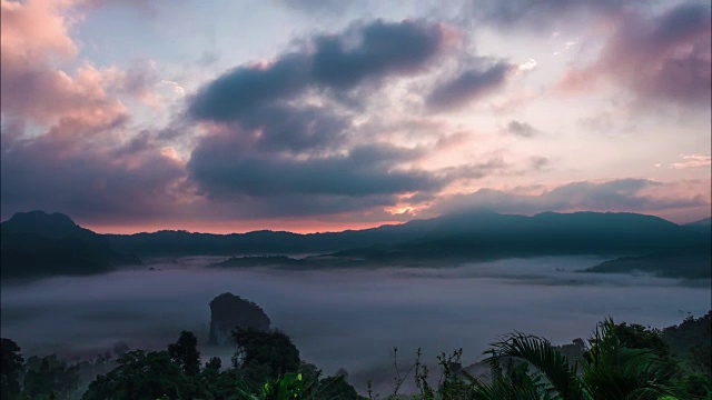 清晨薄雾，热带雨林的晨曦。视频素材