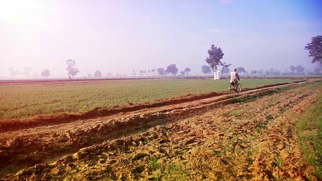 农民骑自行车到田里视频素材
