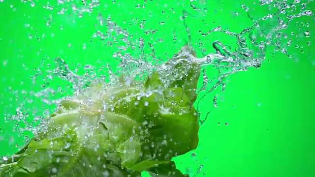 SLO MO生菜被水喷射到空中视频素材