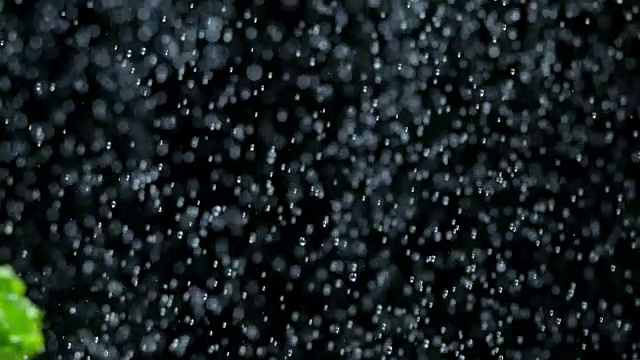 SLO MO生菜飞雨滴在黑色的背景视频素材