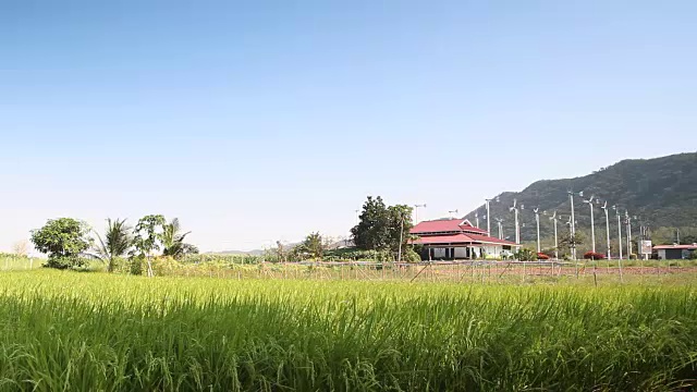 稻田-稻田农场视频下载