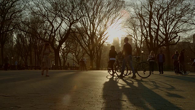 日落时分在中央公园散步的人群视频素材