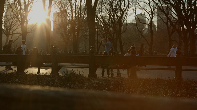 人们在中央公园的夕阳下放松视频素材