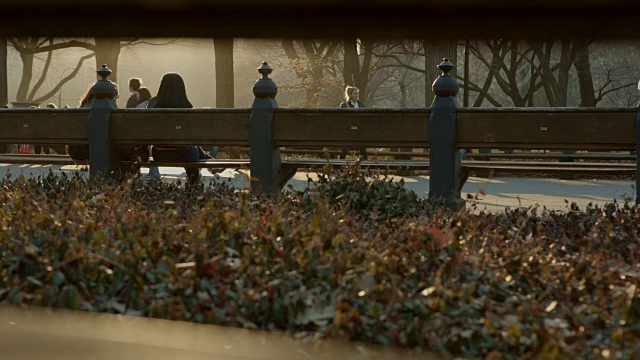 纽约中央公园的日落人们在放松视频素材