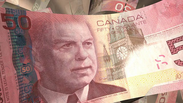 特写，加拿大货币穿过温暖的光(循环)视频素材