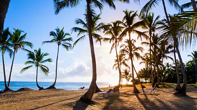 WS放大，日落在热带海滩和棕榈树在豪华度假村视频下载