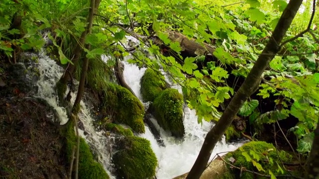 SLO MO瀑布在森林视频素材