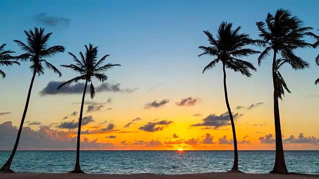 热带海滩和棕榈树上日出的时间流逝视频素材