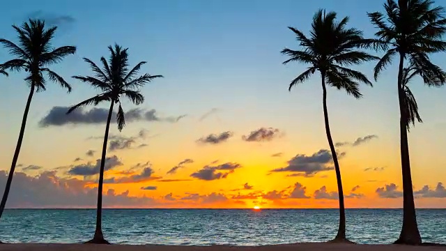 放大，日出的时间流逝在热带海滩和棕榈树视频下载