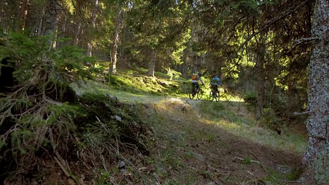 SLO MO夫妇骑山地车穿过森林视频下载