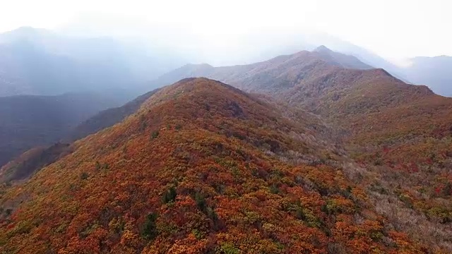 奇里桑国家公园秋色斑斓的野戈丹山顶景观视频素材