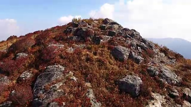 奇里桑国家公园里秋色斑斓的野果丹山顶和祭坛视频素材