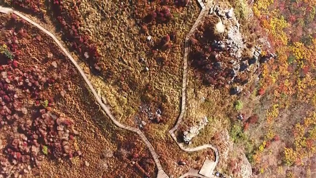 鸟瞰图的野果丹山顶与秋天的颜色和祭坛在奇里桑国家公园视频素材