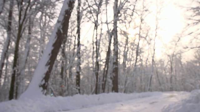 HD超级慢莫:雪落在路上视频素材