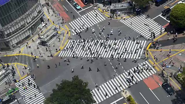 东京涩谷十字路口的俯视图视频下载