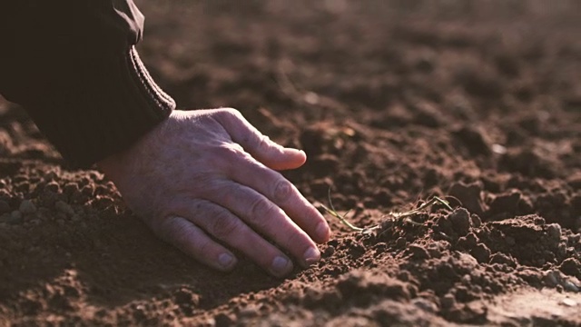 农民双手捧着，倒灌有机土壤。土壤、农业、阳光。视频下载