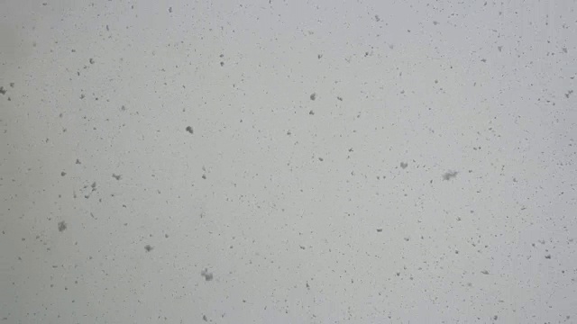 Winter Snowfall /下雪视频素材