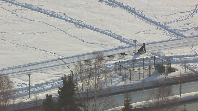 在美国阿拉斯加州的德莱尼公园/安克雷奇，MS AERIAL TS市中心大楼与狗队一起驾驶雪橇视频素材