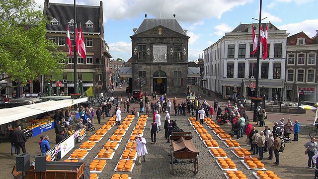 MS People在市场广场/豪达奶酪市场，荷兰，南荷兰视频下载