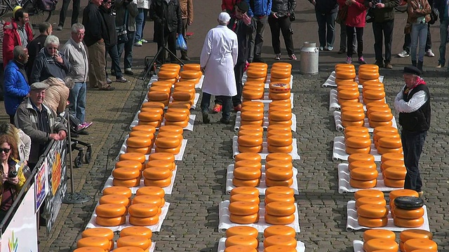 MS拍摄于荷兰南部的市场广场/豪达奶酪市场视频下载