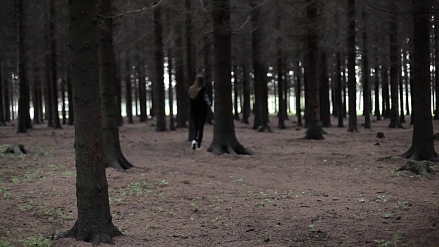 在树林中漫步视频素材