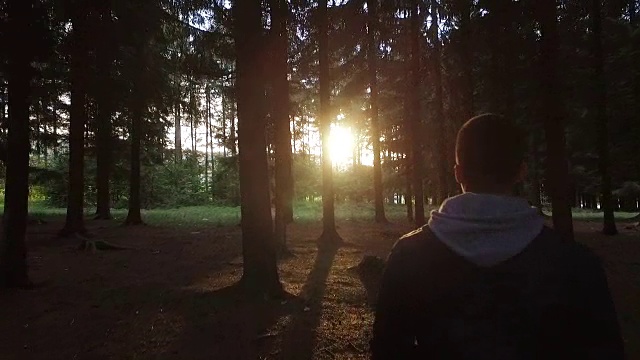 在树林里朝着太阳走去视频下载