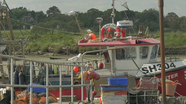 南沃尔德Walberswick港口,渔船、游艇、女士,佐薇视频下载