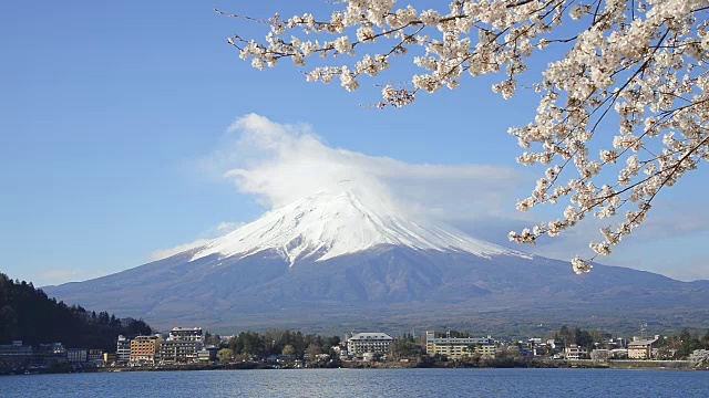 樱花背后的蓝天富士山和川口湖视频素材