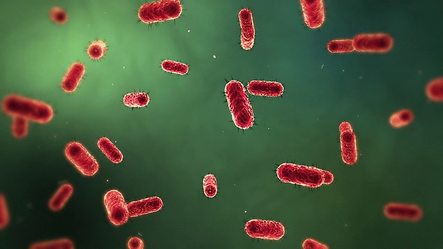 显微细菌医学背景视频素材