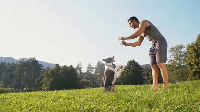 一个年轻人在训练他的狗玩动物把戏视频素材
