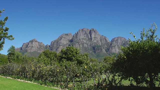 山脉周围的Boschendal葡萄酒庄园/ Franschhoek，西开普省，南非视频下载
