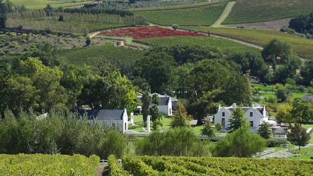 Boschendal葡萄酒庄园和葡萄园的WS ZO Shot / Franschhoek，西开普省，南非视频下载